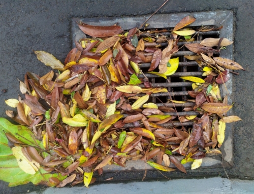 How to stop leaves blocking your drains